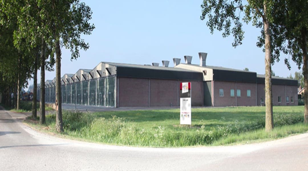 Prochamp