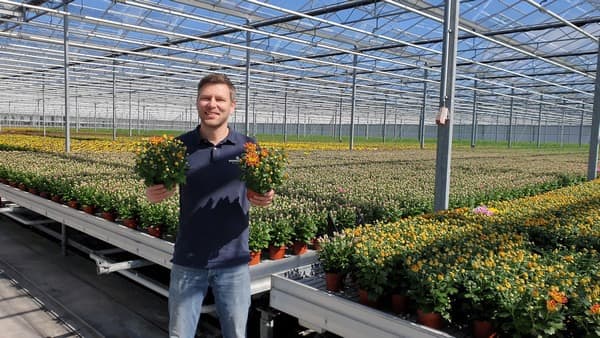 Berkhout Plants