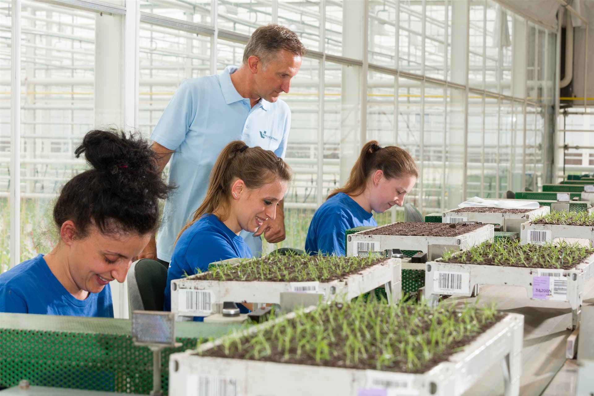 Plantenkwekerij Vreugdenhil