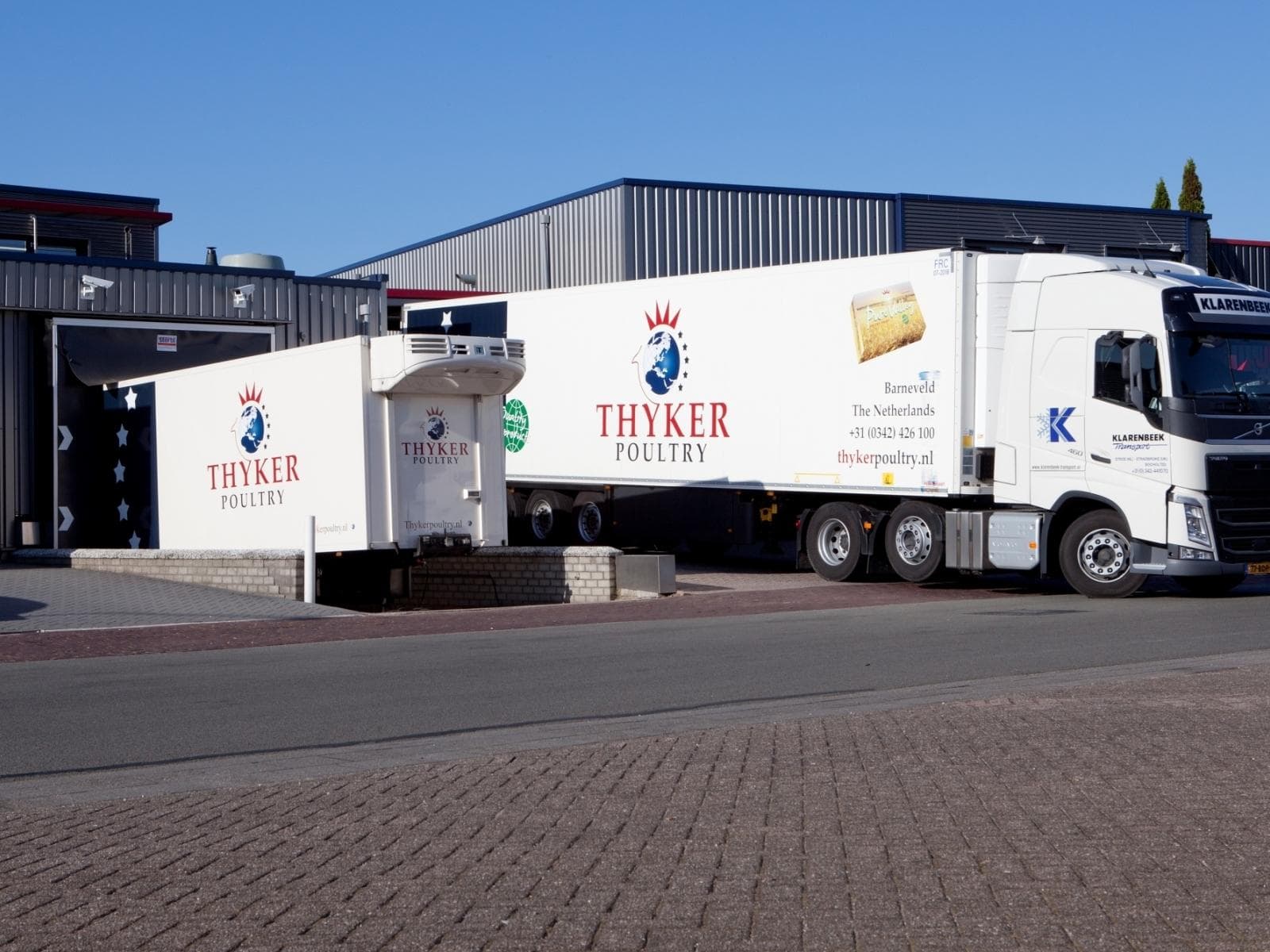 Thyker Poultry